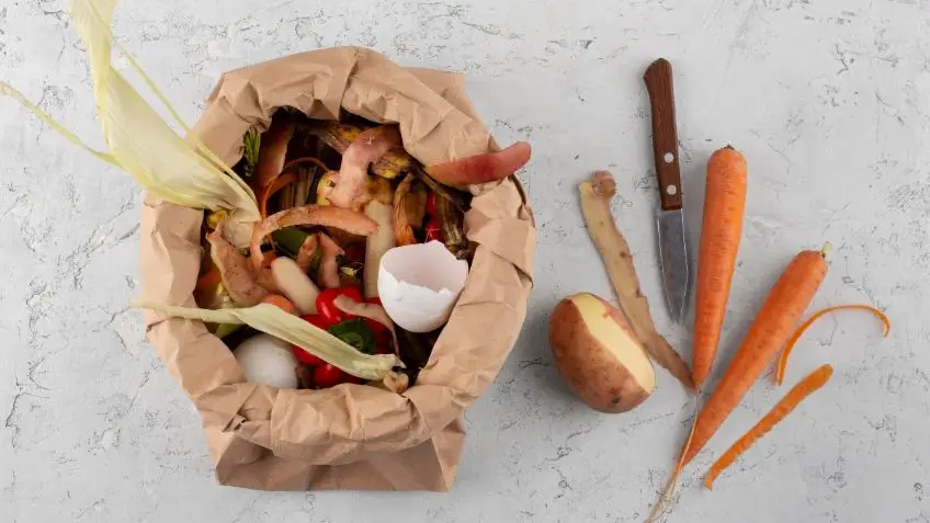 🌱 Homemade Compost: Turn Carrot Peels into Powerful Fertilizer ...