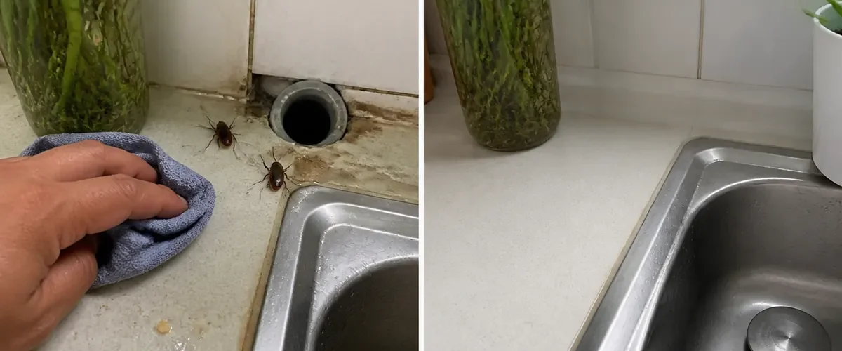 Cockroaches and open drain gaps before a dry sealed sink area afterward