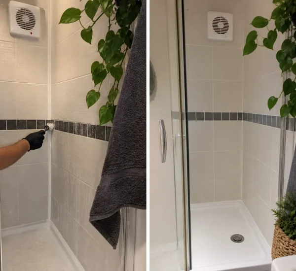 Dark grout test area before bright clean tile lines afterward